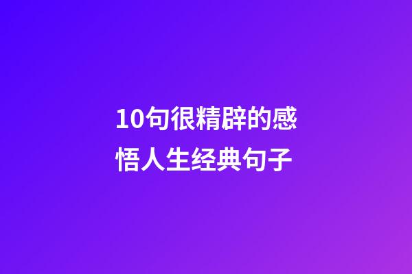 10句很精辟的感悟人生经典句子