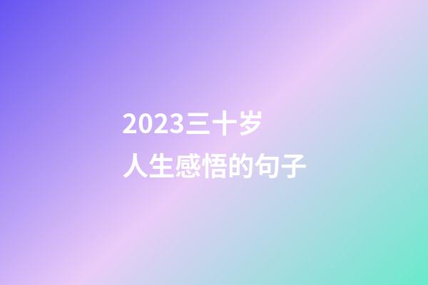 2023三十岁人生感悟的句子