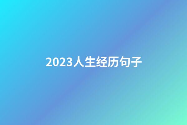 2023人生经历句子
