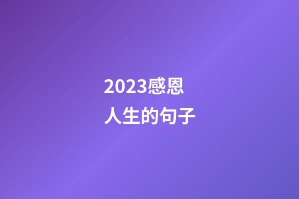 2023感恩人生的句子