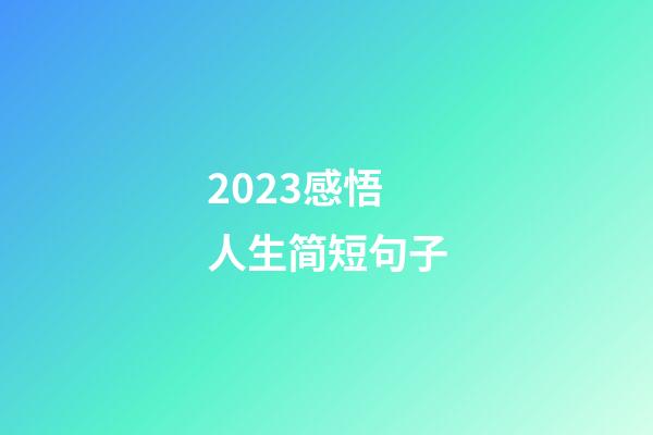 2023感悟人生简短句子