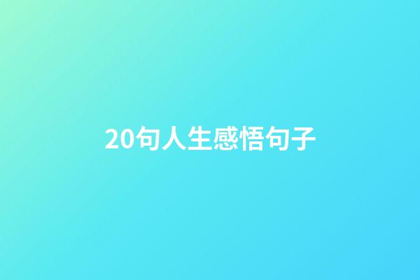 20句人生感悟句子