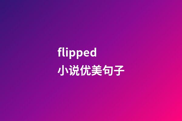 flipped小说优美句子