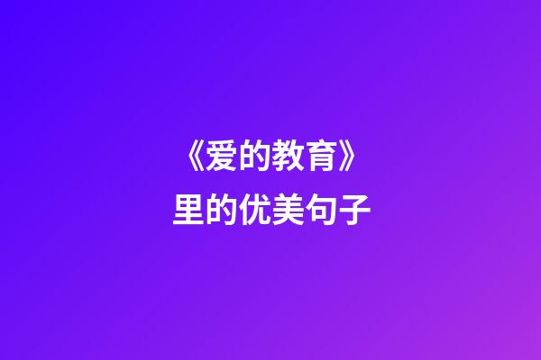 《爱的教育》里的优美句子