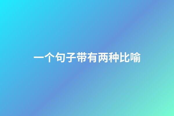 一个句子带有两种比喻