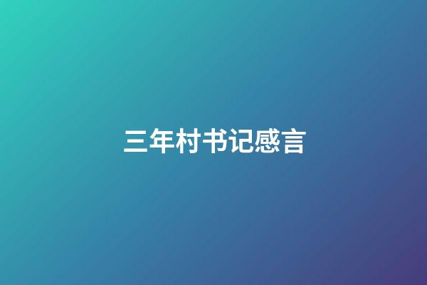 三年村书记感言