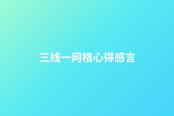 三线一网格心得感言