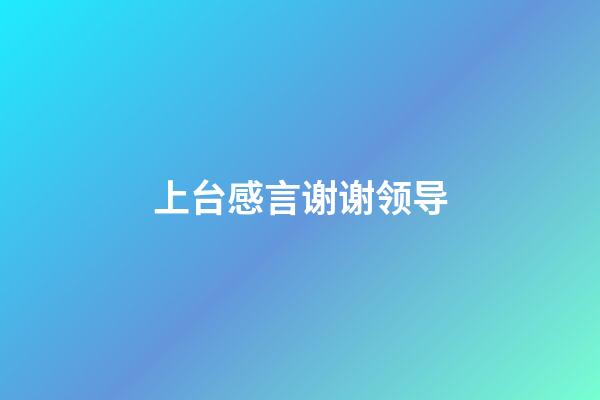 上台感言谢谢领导