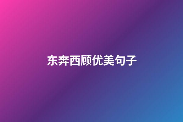 东奔西顾优美句子