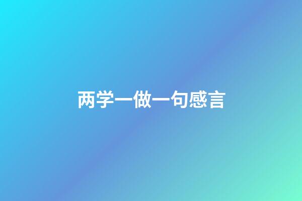 两学一做一句感言