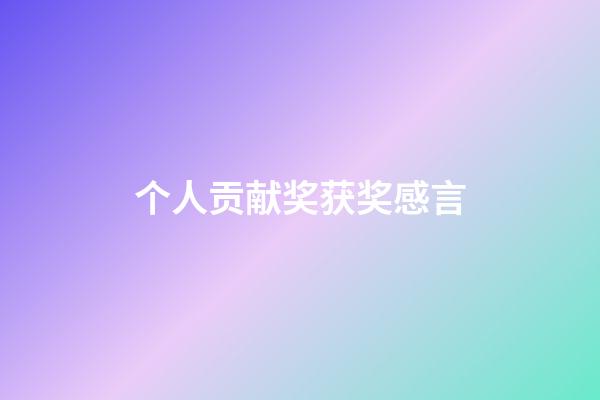 个人贡献奖获奖感言
