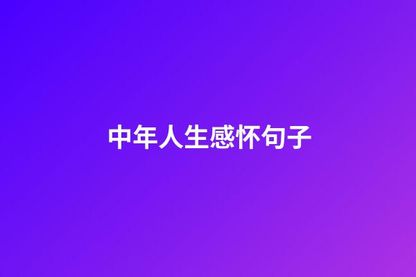 中年人生感怀句子