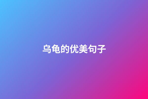 乌龟的优美句子