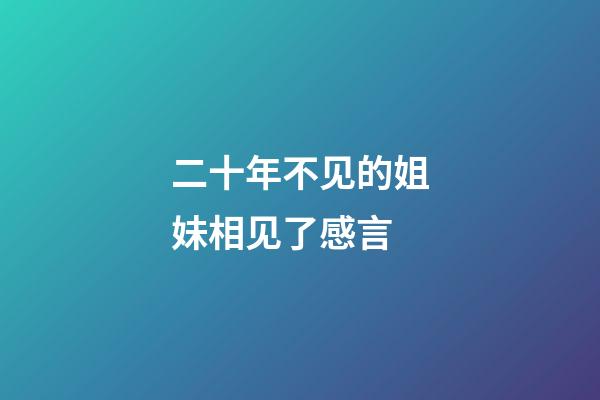 二十年不见的姐妹相见了感言