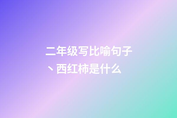 二年级写比喻句子丶西红柿是什么