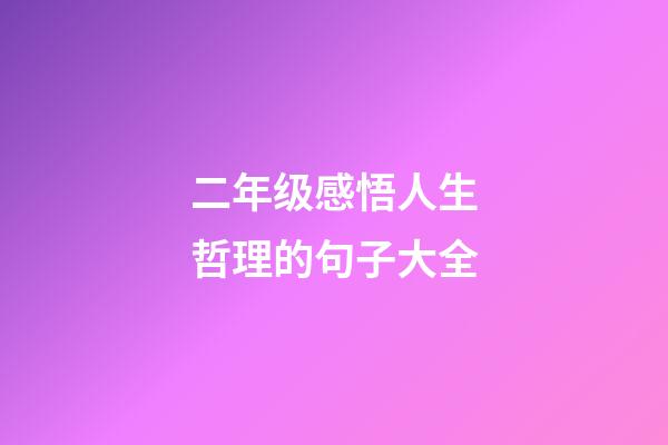 二年级感悟人生哲理的句子大全