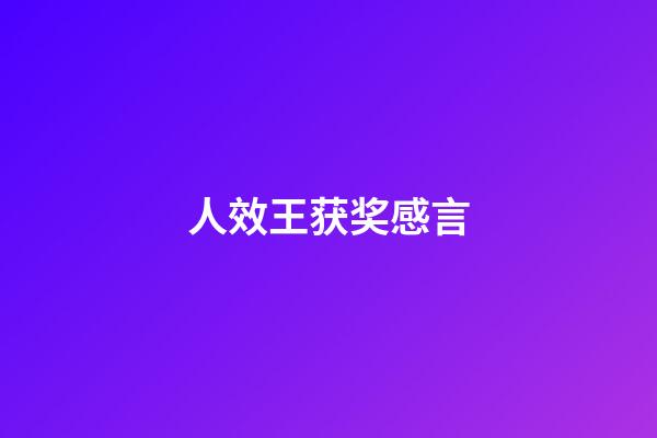 人效王获奖感言