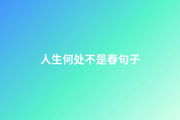 人生何处不是春句子