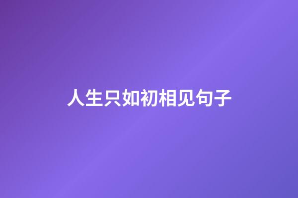 人生只如初相见句子