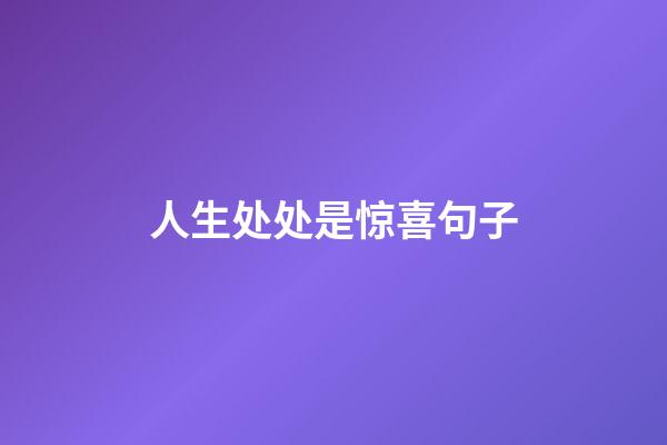 人生处处是惊喜句子