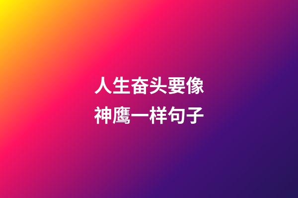 人生奋头要像神鹰一样句子