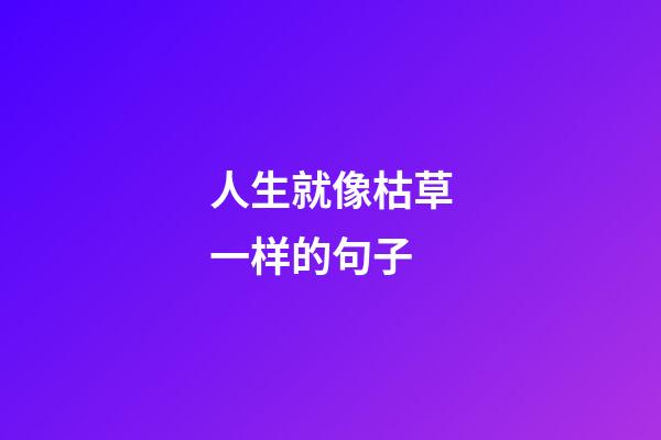 人生就像枯草一样的句子