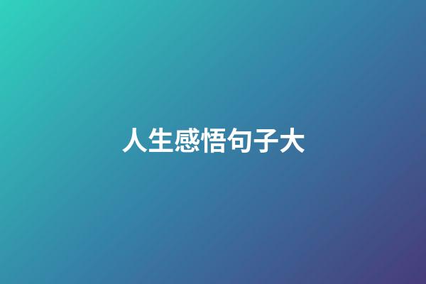 人生感悟句子大