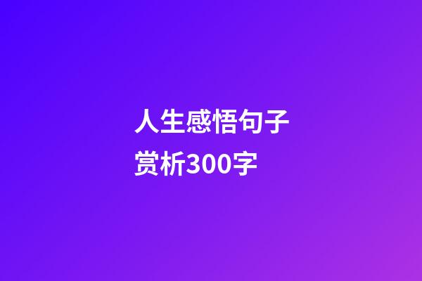 人生感悟句子赏析300字
