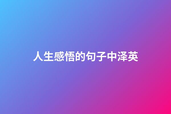 人生感悟的句子中泽英