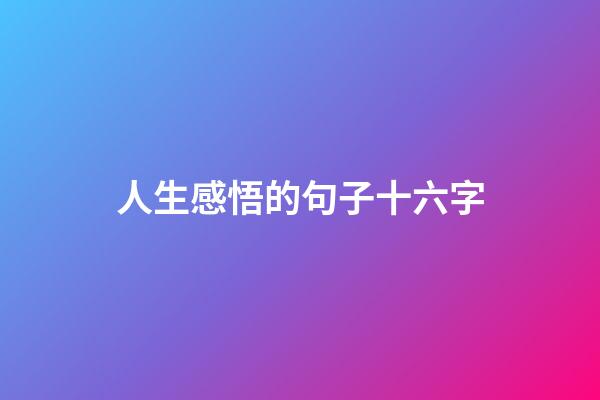 人生感悟的句子十六字