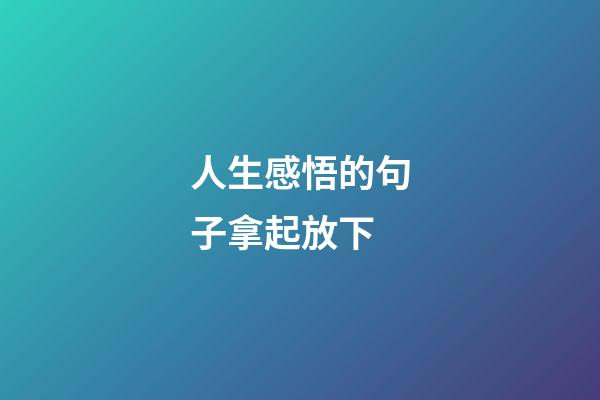人生感悟的句子拿起放下