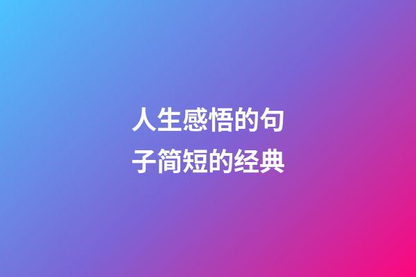 人生感悟的句子简短的经典