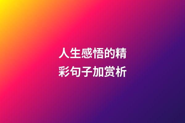 人生感悟的精彩句子加赏析