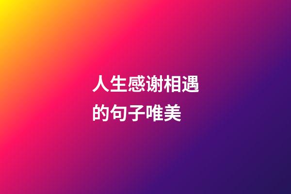 人生感谢相遇的句子唯美