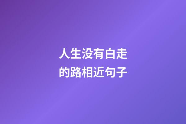 人生没有白走的路相近句子