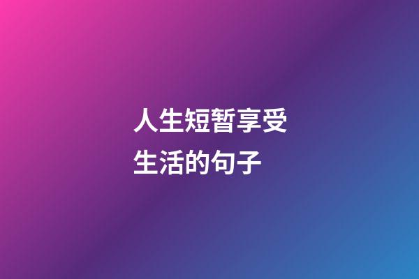 人生短暂享受生活的句子