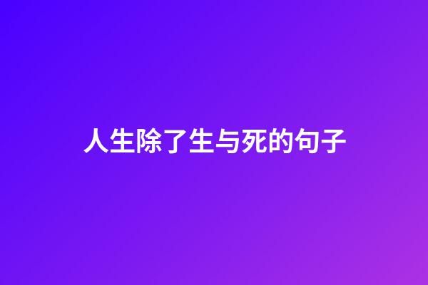 人生除了生与死的句子