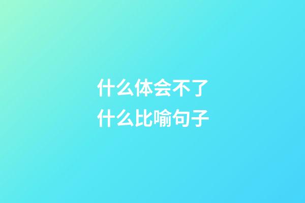 什么体会不了什么比喻句子