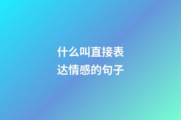 什么叫直接表达情感的句子