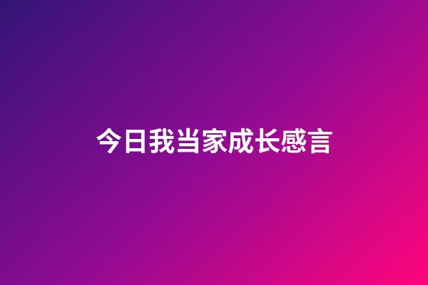 今日我当家成长感言