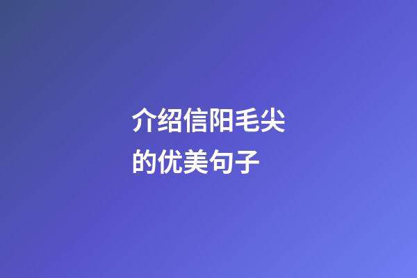 介绍信阳毛尖的优美句子
