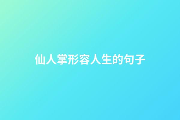 仙人掌形容人生的句子