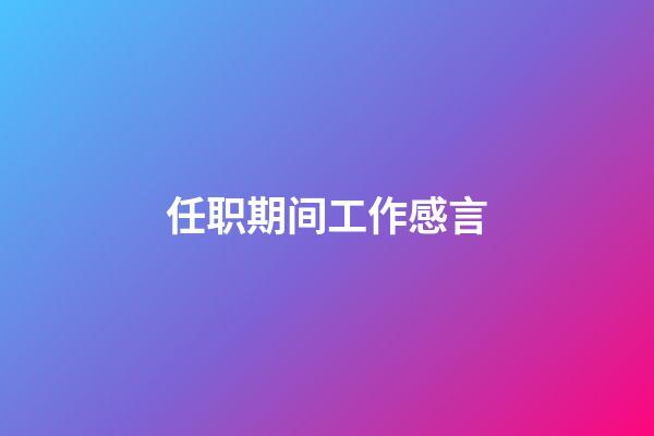 任职期间工作感言
