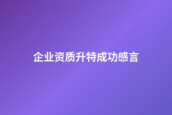 企业资质升特成功感言