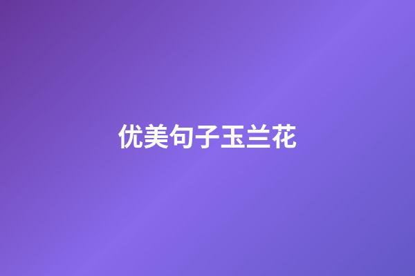 优美句子玉兰花