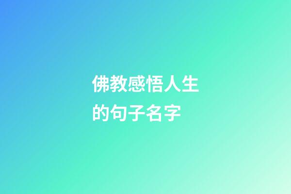 佛教感悟人生的句子名字