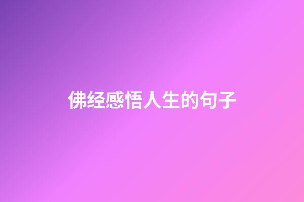 佛经感悟人生的句子