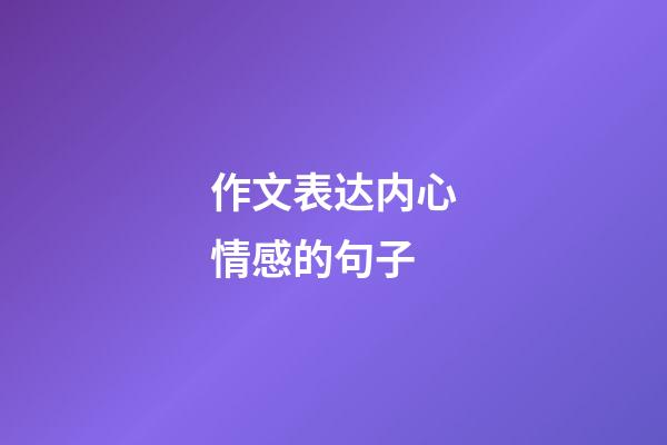 作文表达内心情感的句子