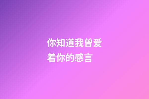 你知道我曾爱着你的感言