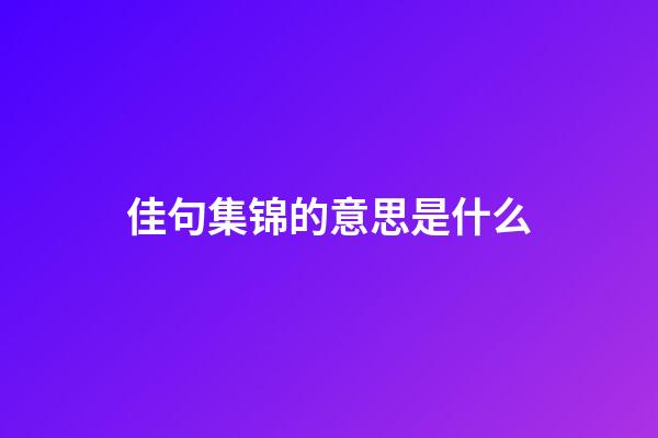 佳句集锦的意思是什么